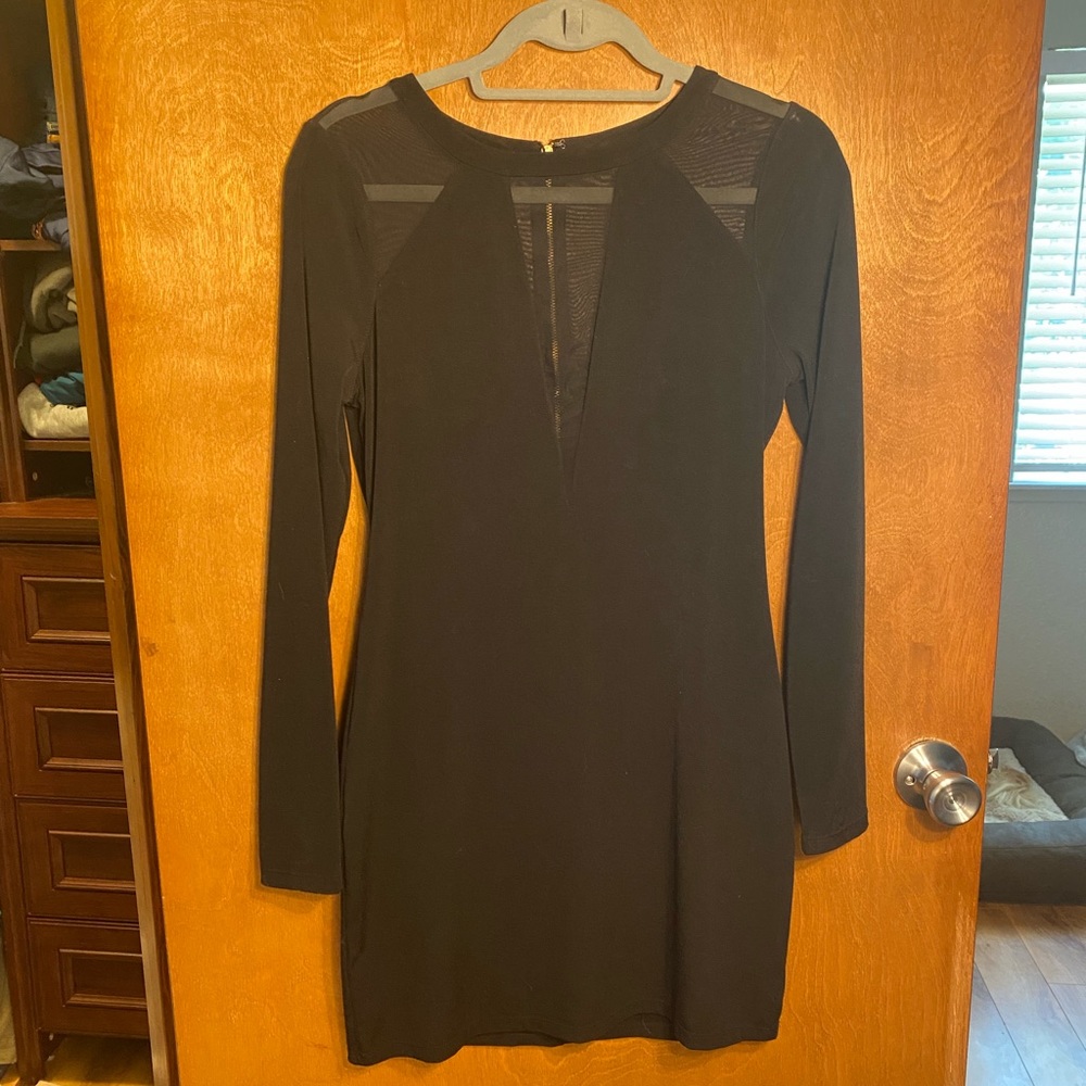 Express Long Sleeve Plunging Mesh Dress